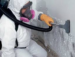 Best Biohazard Mold Removal  in Wilburton, OK